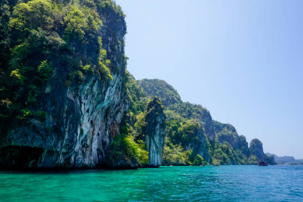 istock Flora and fauna of the tropical Phi Phi islands in Thailand 1288577611