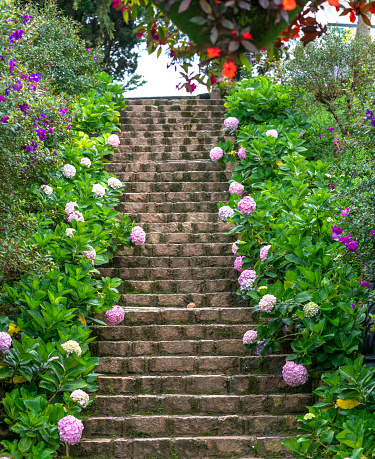 The steps are adorned with hydrangeas on both sides leading to the house in the highlands