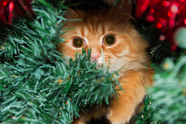 istock Ginger cat among the artificial Christmas tree branches and ornaments 1288580342