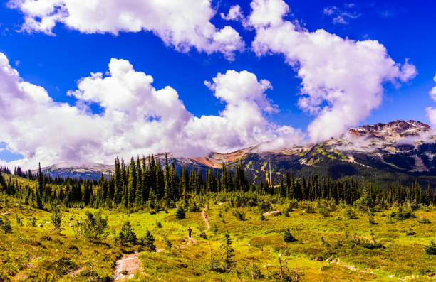 istock Hiking Blackcomb meadows into the mountain 1288580996