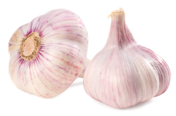 istock garlic isolated on white background. full depth of field 1288581308