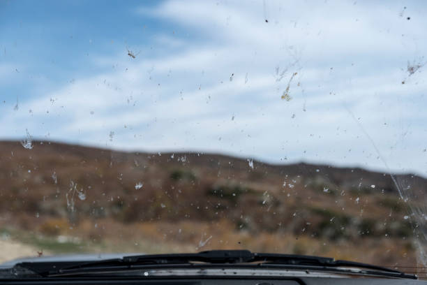 istock Dirty windshield with insects and dirt while driving. Dead bugs splattered on the windscreen. 1288584041