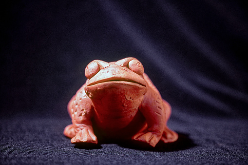 Frog handicraft and art in showcase in Pune State Maharashtra India