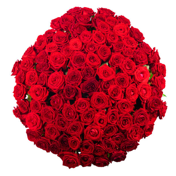 istock Red roses bouquet on white 1288592885