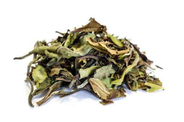 istock dried green tea isolated on white background 1288594692