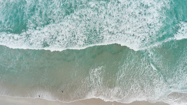 istock The long beach in Cape Town 1288594816
