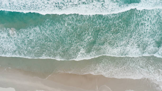 istock The long beach in Cape Town 1288594831