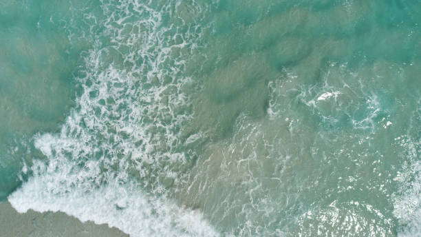 istock The long beach in Cape Town 1288594832