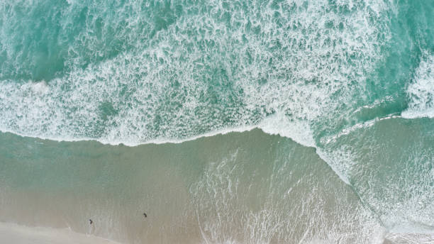 istock The long beach in Cape Town 1288594902