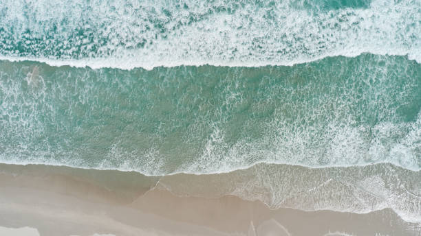 istock The long beach in Cape Town 1288594905