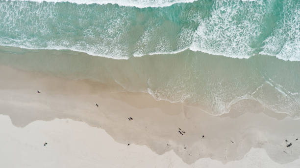 istock The long beach in Cape Town 1288594912