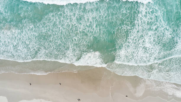 istock The long beach in Cape Town 1288594965