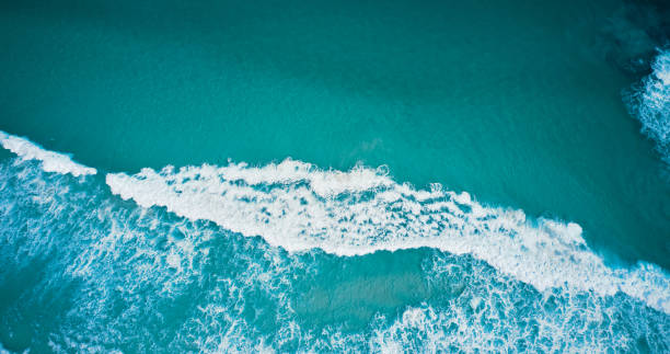 istock The long beach in Cape Town 1288595013