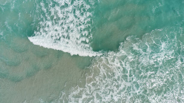 istock The long beach in Cape Town 1288595058