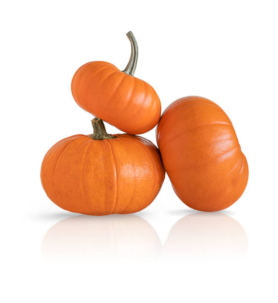 istock Orange pumpkins on white background stock photo. 1288598242