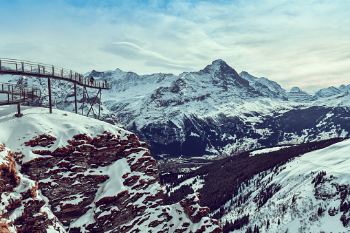 People On Cliff Walk At The Summit First In Grindelwald, Switzerland