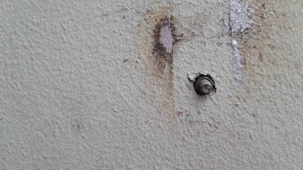 istock Bolt and nut on the concrete wall. 1288603725