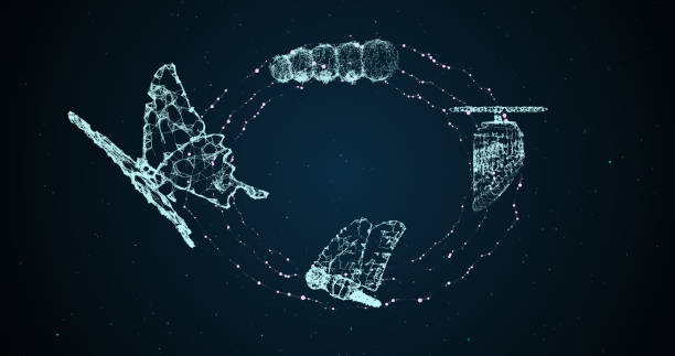 Copy space of abstract background with butterfly growth evolution transformation concept present develop in leadership management change in digital finance business innovation technology disruption