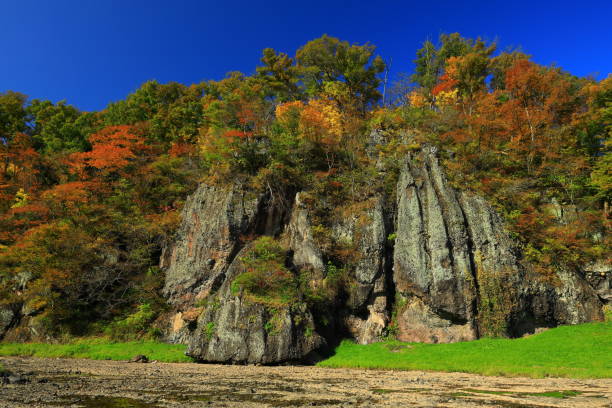 istock Mountain stream of autumn leaves 1288606366