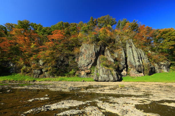istock Mountain stream of autumn leaves 1288606368