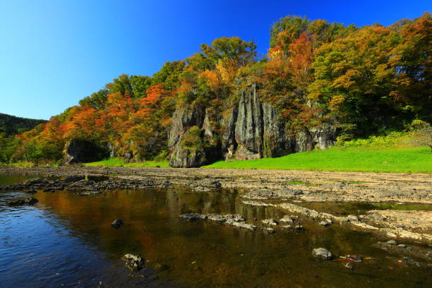 istock Mountain stream of autumn leaves 1288606370