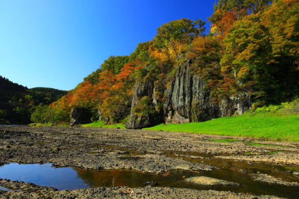 istock Mountain stream of autumn leaves 1288606383