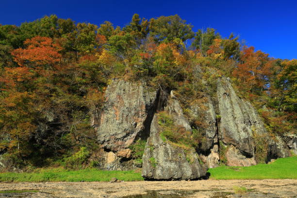istock Mountain stream of autumn leaves 1288606460