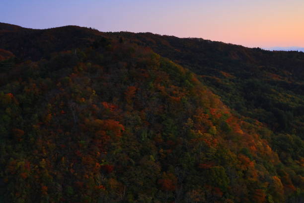 istock Plateau of autumn leaves 1288606463