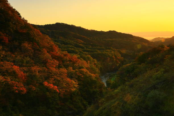 istock Plateau of autumn leaves 1288606471