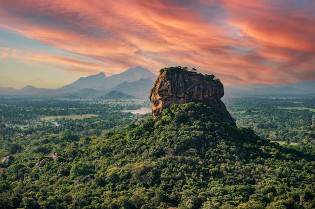 espectacular vista de la roca del león rodeada de vegetación verde y rica. imagen tomada de la roca pidurangala en sigiriya, sri lanka. - lanka fotografías e imágenes de stock