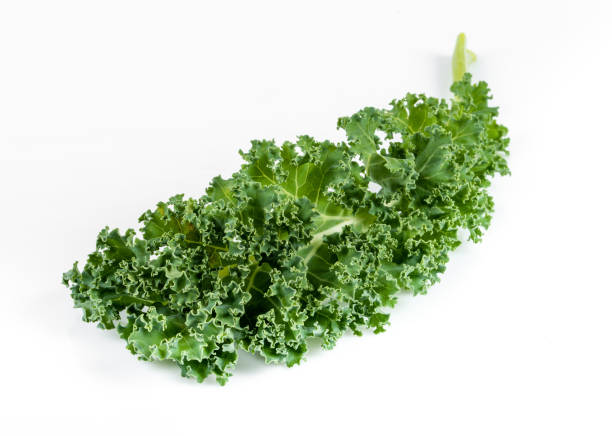 Kale leaf salad vegetable isolated on white background. Creative layout made of kale closeup.