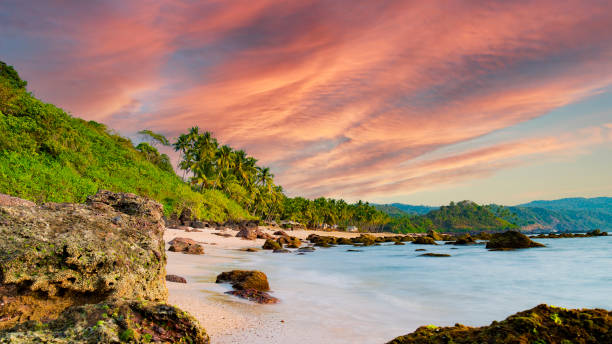 istock Long exposure. Beautiful and relaxing beach flanked by green palm trees at sunset. Varkala, Kerala, India. 1288609967