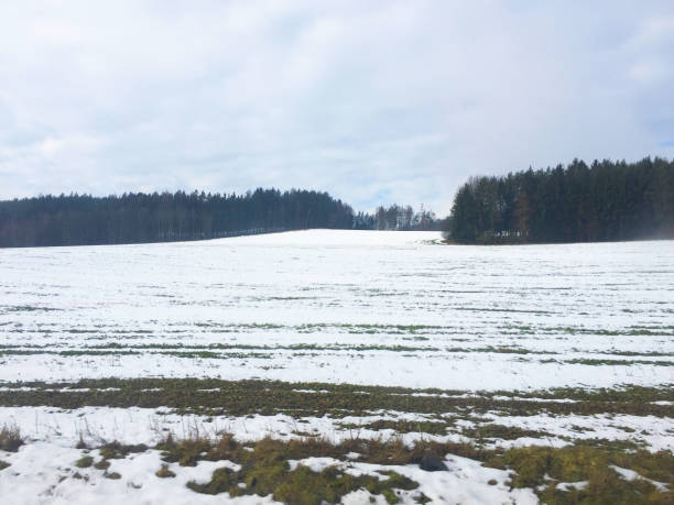 śnieg w republice cezeh - czech republic ski winter skiing zdjęcia i obrazy z banku zdjęć