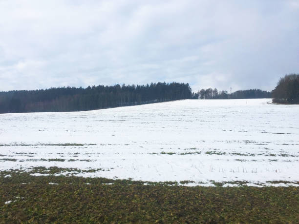 zimowy krajobraz w czechach - czech republic ski winter skiing zdjęcia i obrazy z banku zdjęć