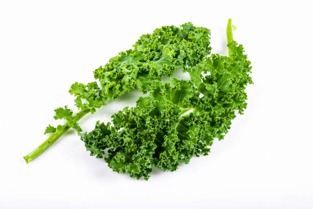 istock Kale leaf salad vegetable isolated on white background. Creative layout made of kale closeup. 1288610385