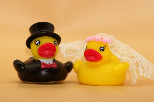 Squeaky ducks as a newlywed