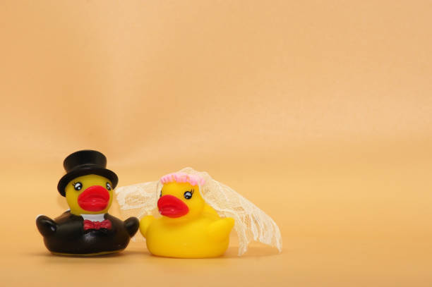 Squeaky ducks as a newlywed