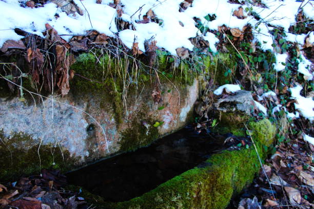 istock Abandoned watering can for cattle. A stone trough where there is water that is overgrown with moss. It is winter and there is snow all around. Zavidovici, Bosnia and Herzegovina. 1288615687