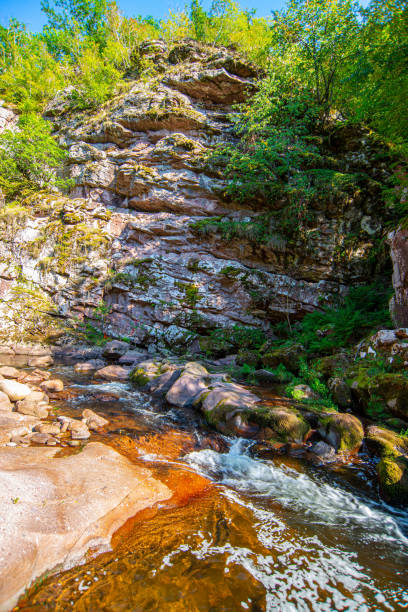 istock The canyon of the Toplodolska river 1288620719