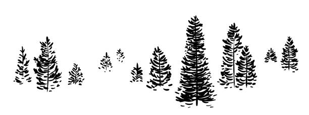 Set of young Christmas trees. Spruce forest, vector illustration isolated on a white background. Bundle of small Christmas trees, hand-drawn silhouette. white background sign snow winter stock illustrations