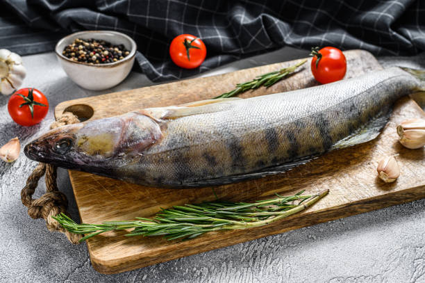 istock Raw pike perch, pikeperch fish. Fresh fish. Black background. Top view 1288625220