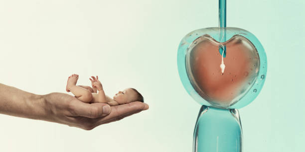 Concept of artificial insemination or fertility treatment. Ovum with needle and sperm for artificial insemination or in vitro fertilization and human baby on palm of hand. Concept of artificial insemination or fertility treatment. 8 months pregnant stock pictures, royalty-free photos & images