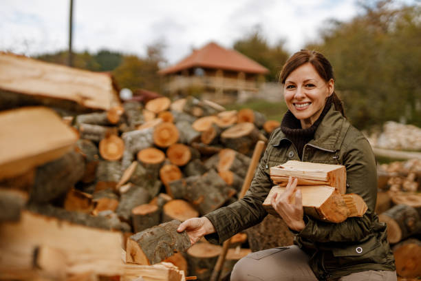 istock Collecting wooden for fire, warm weather. 1288629073