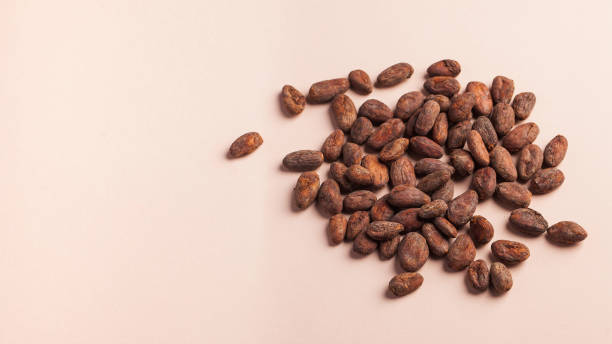 istock Cocoa beans on a pink background. Cocoa product. Copy space. 1288630501