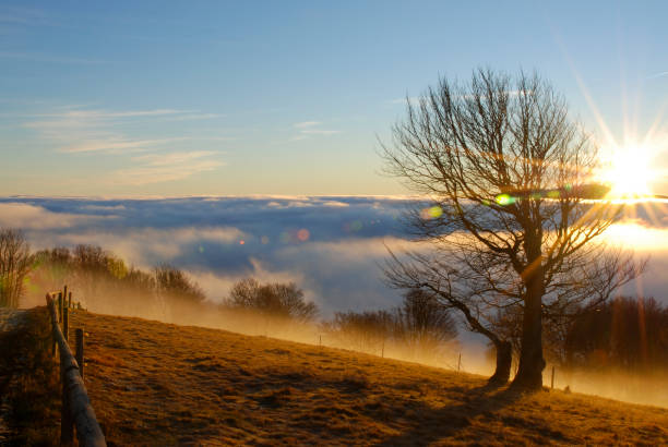 amanecer en la selva negra - meadow sunrise fog sky fotografías e imágenes de stock