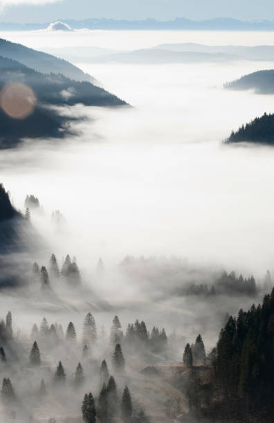 Fog in a gorge in the Black Forest. Recorded at Feldberg, Germany