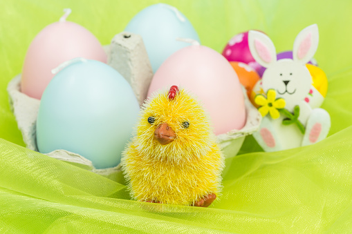 yellow chick with box of decorative easter egg candles in pink and blue