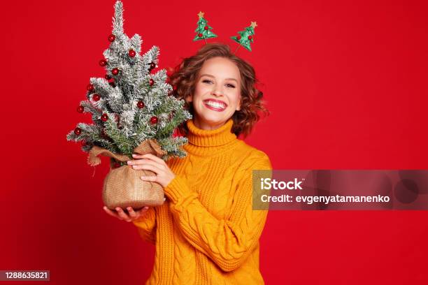 Optimistic Female With Christmas Tree Stock Photo - Download Image Now - Adult, Adults Only, Blond Hair