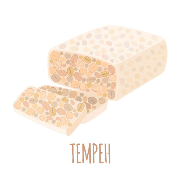 ilustraciones, imágenes clip art, dibujos animados e iconos de stock de icono de tempeh de soja vectorial en estilo plano aislado en blanco. - tempeh