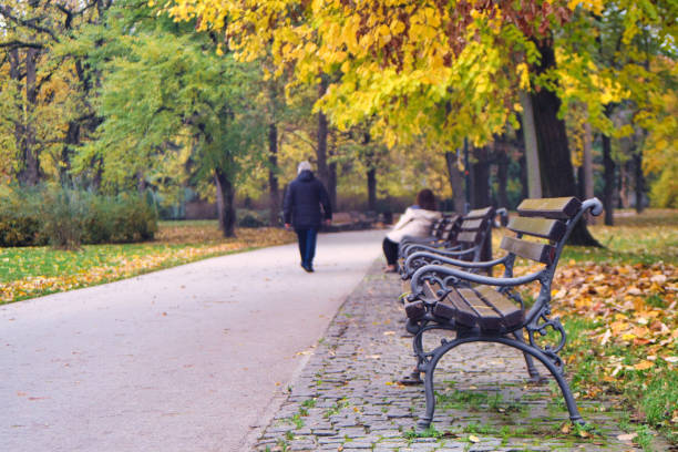 istock Late autumn mood on beautiful cloudy morning 1288637680